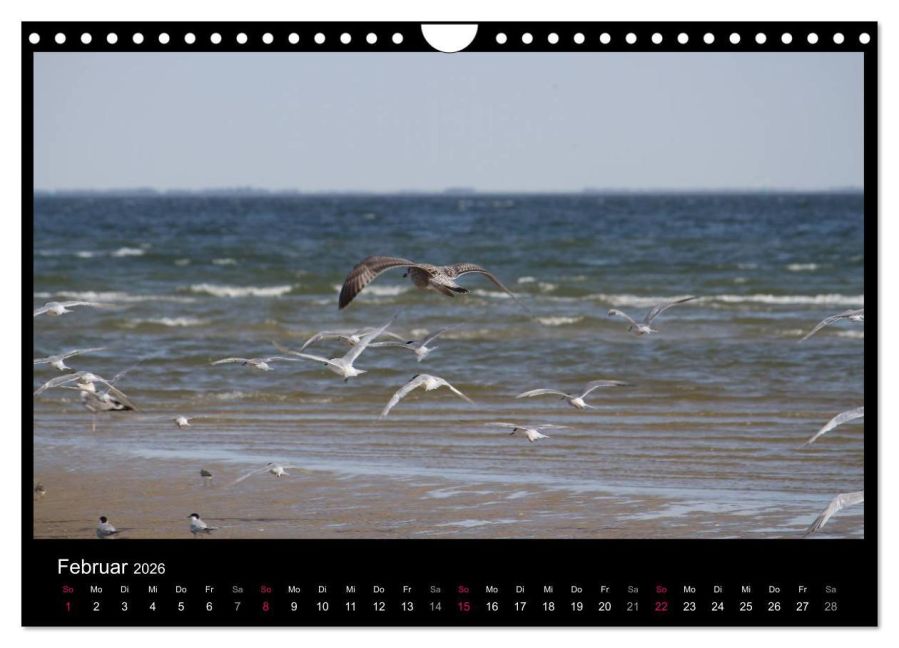 InsideView 7