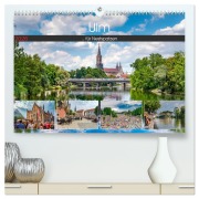 Cover-Bild zum Titel 'Ulm für Nestspatzen (hochwertiger Premium Wandkalender 2026 DIN A2 quer), Kunstdruck in Hochglanz' von 'Trancerapid Photography'