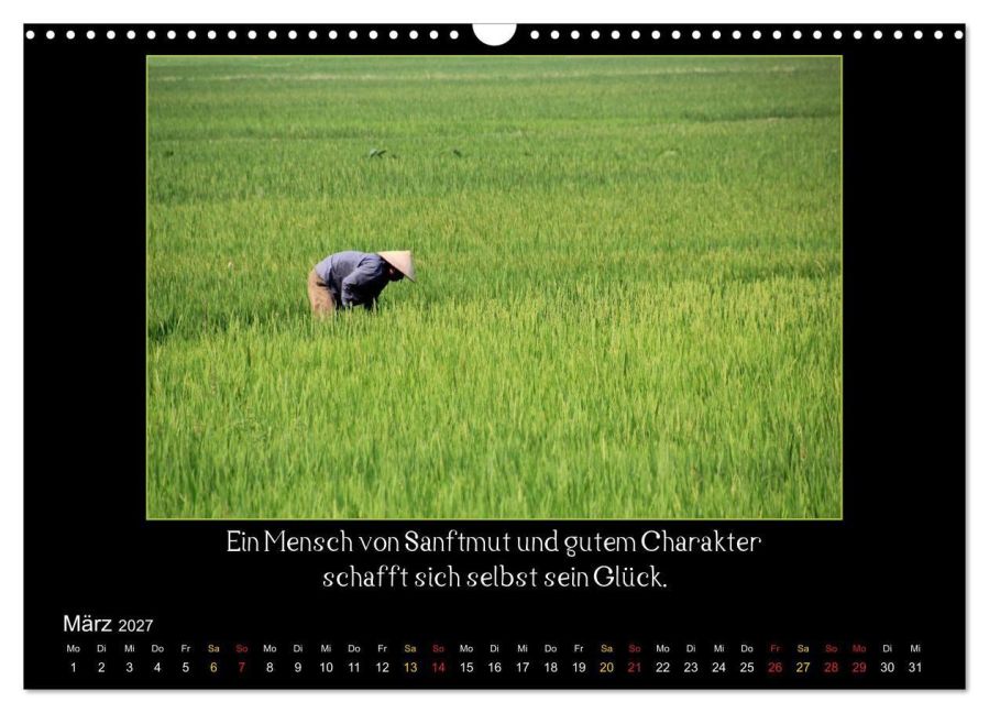 InsideView 8
