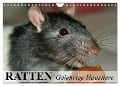 Ratten - Gelehrige Haustiere (Wandkalender 2024 DIN A4 quer), CALVENDO Monatskalender - Elisabeth Stanzer