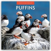 Puffins - Papageitaucher 2026 - 16-Monatskalender - Robin Red