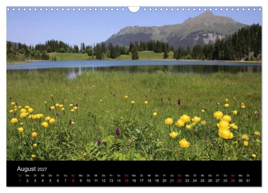 InsideView 13