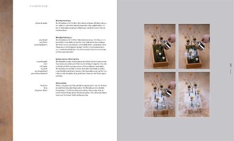InsideView 5