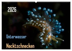 Cover-Bild zum Titel 'Unterwasser - Nacktschnecken 2026 (Wandkalender 2026 DIN A2 quer), CALVENDO Monatskalender' von 'Claudia Weber-Gebert'