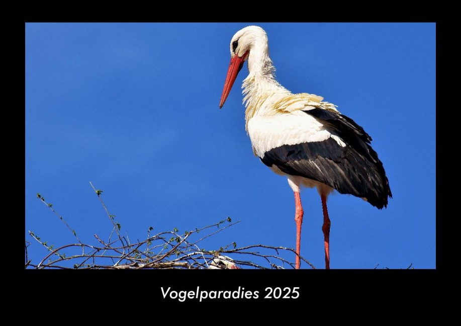 Vogelparadies 2025 Fotokalender DIN A3 - Tobias Becker