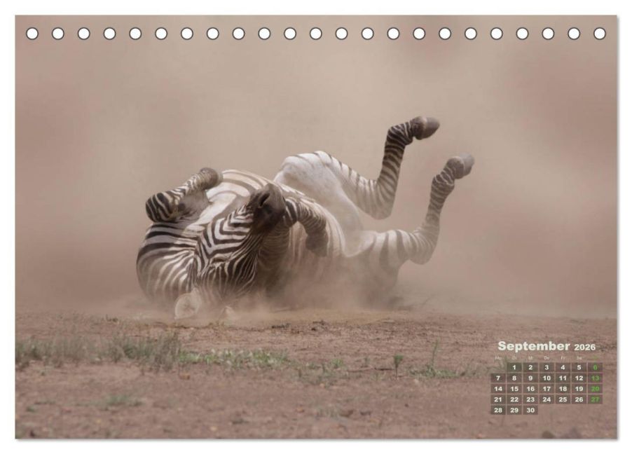 InsideView 14