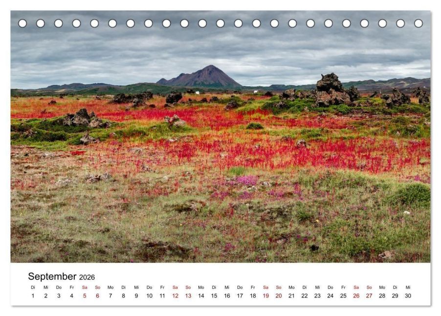 InsideView 14