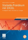 Cover-Bild zum Titel 'Statistik-Praktikum mit Excel' von 'Jörg-D. Meißner, Tilo Wendler'