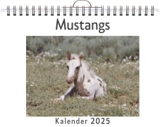 Cover-Bild zum Titel 'Mustangs' von 'Oliver Meier'
