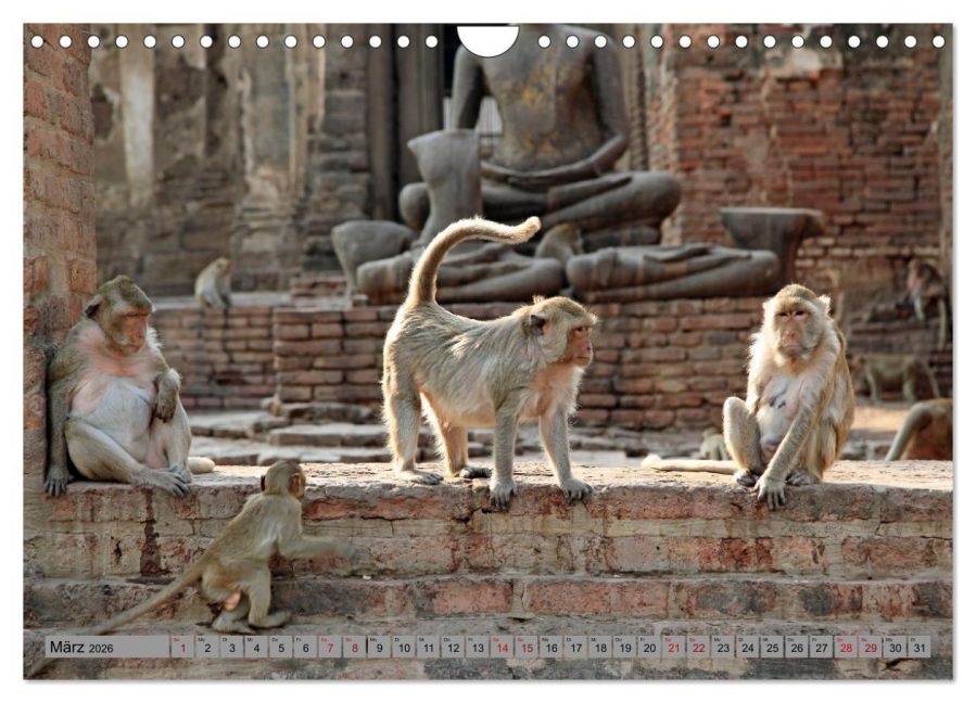 InsideView 8