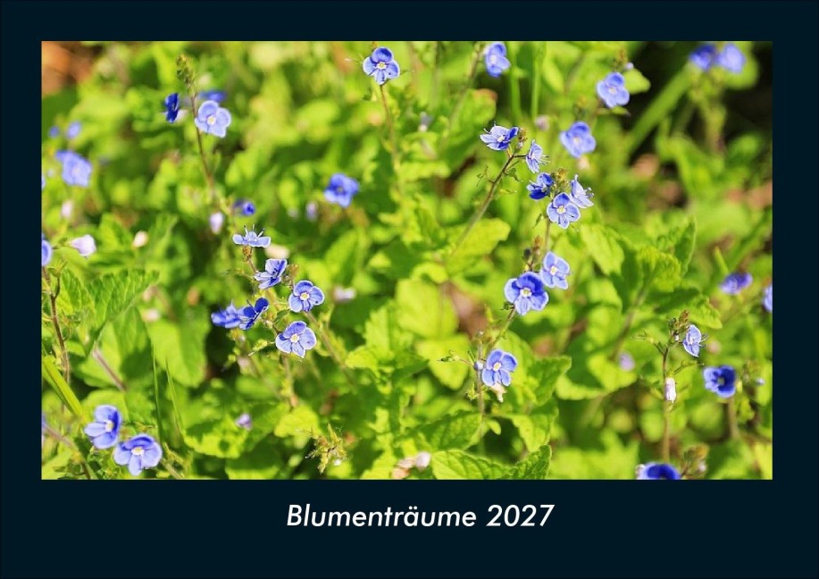 Blumenträume 2027 Fotokalender DIN A4 - Tobias Schmitt, Kevin Heber