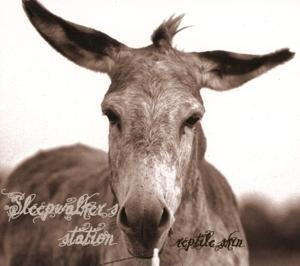 Reptile Skin - Sleepwalker's Station