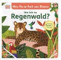 Mein Pop-up-Buch zum Staunen. Wer lebt im Regenwald? - Sandra Grimm