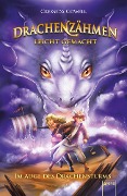 Cover-Bild zum Titel 'Drachenzähmen leicht gemacht (7). Im Auge des Drachensturms' von 'Cressida Cowell'