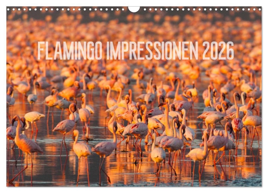 Flamingo Impressionen 2026 (Wandkalender 2026 DIN A3 quer), CALVENDO Monatskalender - Ingo Gerlach