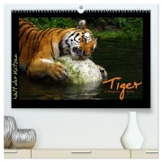 Cover-Bild zum Titel 'Welt der Katzen - Tiger (hochwertiger Premium Wandkalender 2026 DIN A2 quer), Kunstdruck in Hochglanz' von 'Marcus Skupin'