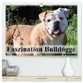 Faszination Bulldogge (hochwertiger Premium Wandkalender 2024 DIN A2 quer), Kunstdruck in Hochglanz - Elisabeth Stanzer