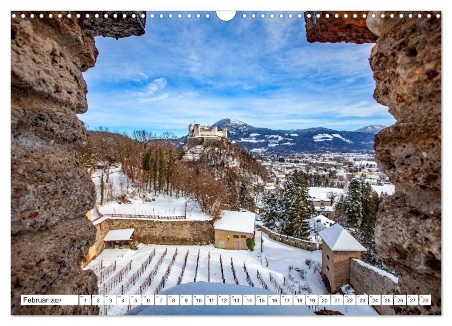 InsideView 7