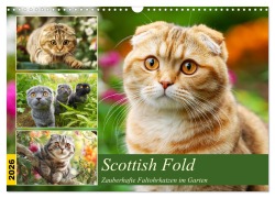 Scottish Fold. Zauberhafte Faltohrkatzen im Garten (Wandkalender 2026 DIN A3 quer), CALVENDO Monatskalender - Rose Hurley