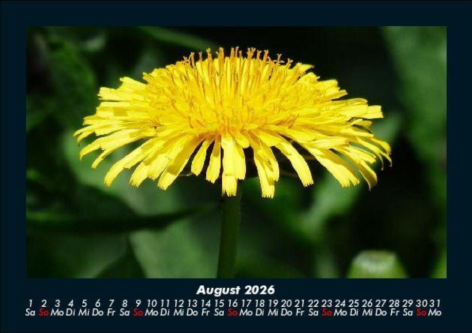 InsideView 12