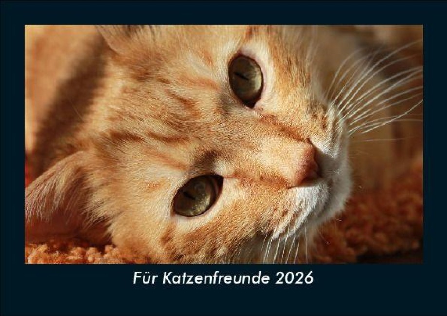 Für Katzenfreunde 2026 Fotokalender DIN A5 - Tobias Becker