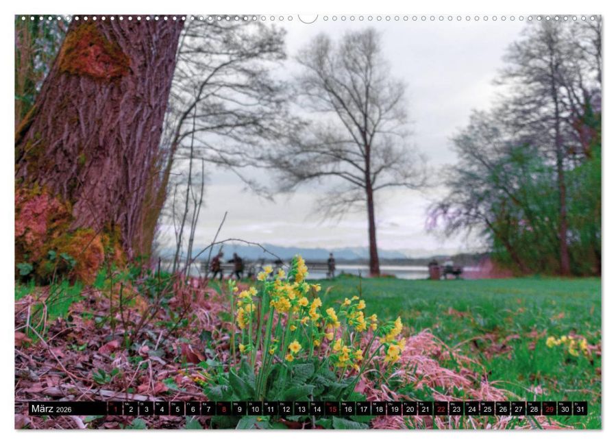 InsideView 8
