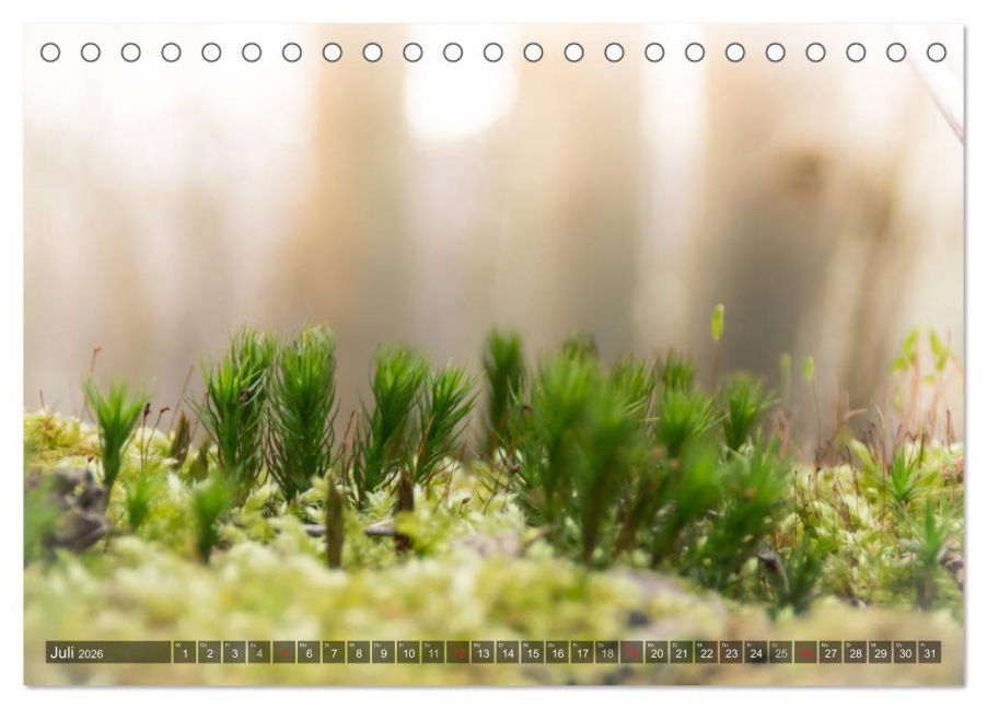 InsideView 12