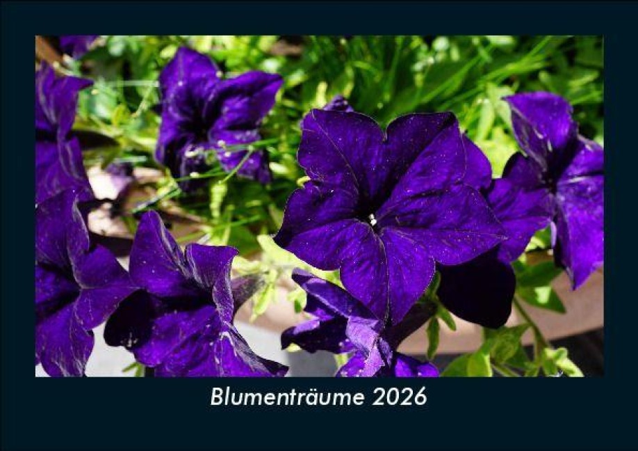 Blumenträume 2026 Fotokalender DIN A5 - Tobias Becker