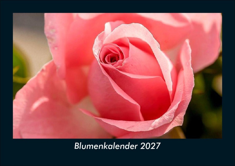 Blumenkalender 2027 Fotokalender DIN A5 - Tobias Schmitt, Kevin Heber