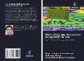 Cover-Bild zum Titel 'De luchtspiegeling van de democratie in Irak' von 'Hamid Soleimani Souchelmaei, Abdolreza Alishahi, Seyyed Mahdi Hosseini Kouhsari'