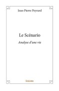 Cover-Bild zum Titel 'Le Scénario' von 'Jean-Pierre Peyrard'
