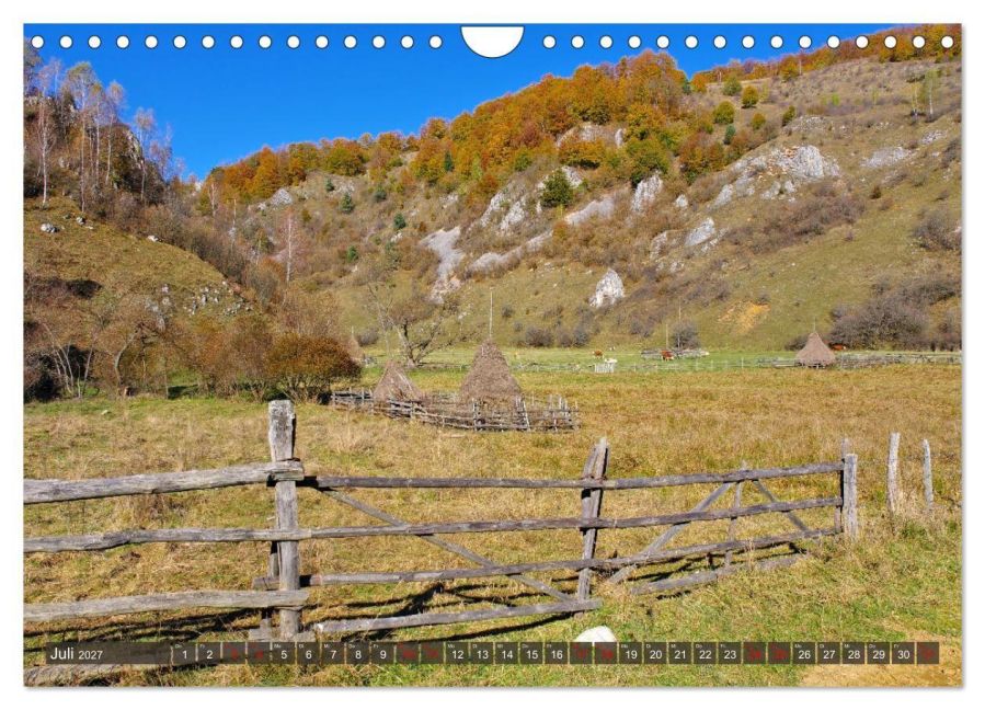 InsideView 12