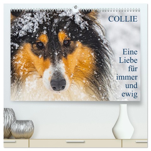 Collies - Eine Liebe für immer und ewig (hochwertiger Premium Wandkalender 2025 DIN A2 quer), Kunstdruck in Hochglanz - Sigrid Starick