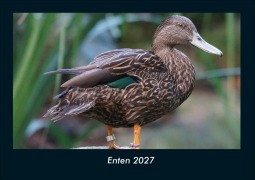 Cover-Bild zum Titel 'Enten 2027 Fotokalender DIN A4' von 'Tobias Schmitt, Kevin Heber'