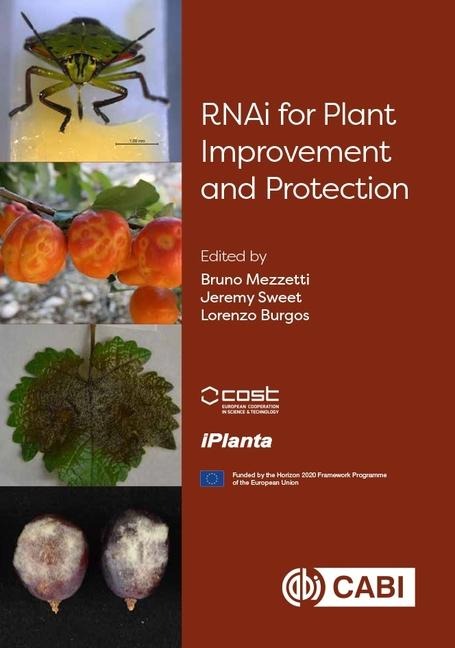 Rnai for Plant Improvement and Protection - 