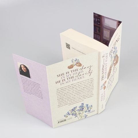 InsideView 2