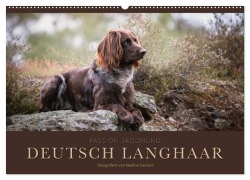 Cover-Bild zum Titel 'Passion Jagdhund - Deutsch Langhaar (Wandkalender 2026 DIN A2 quer), CALVENDO Monatskalender' von 'Nadine Gerlach'