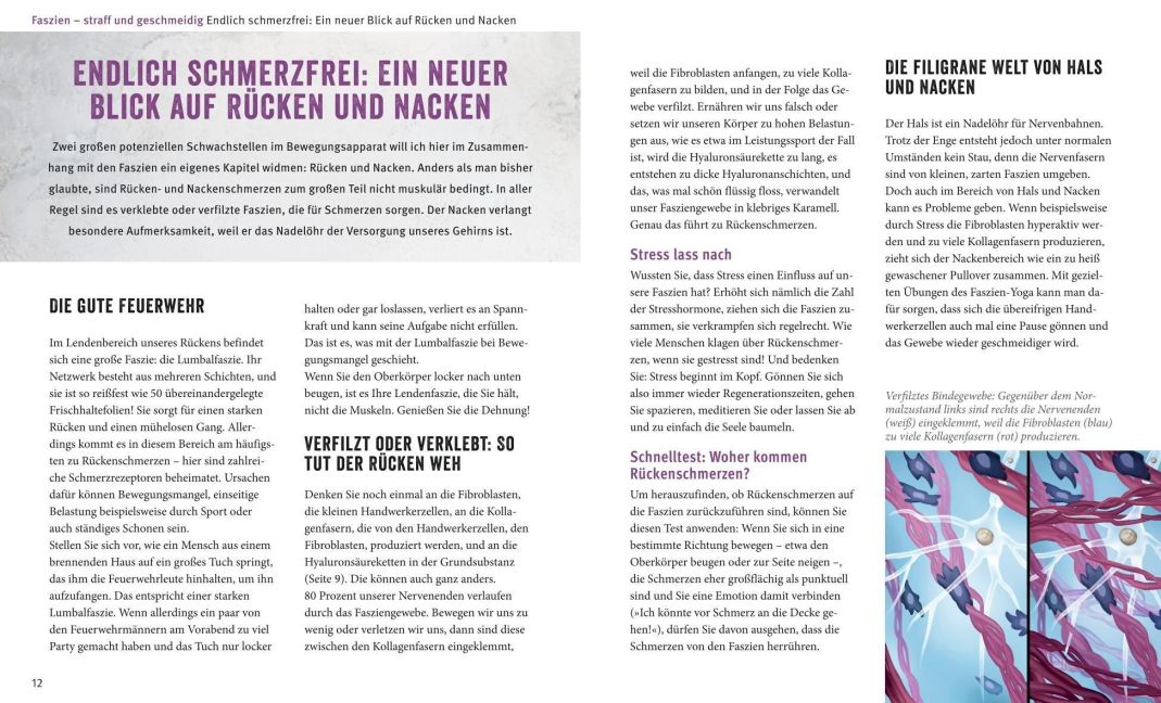 InsideView 2