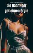Cover-Bild zum Titel 'Die Nacht der geheimen Orgie' von 'Bernadette Binkowski'