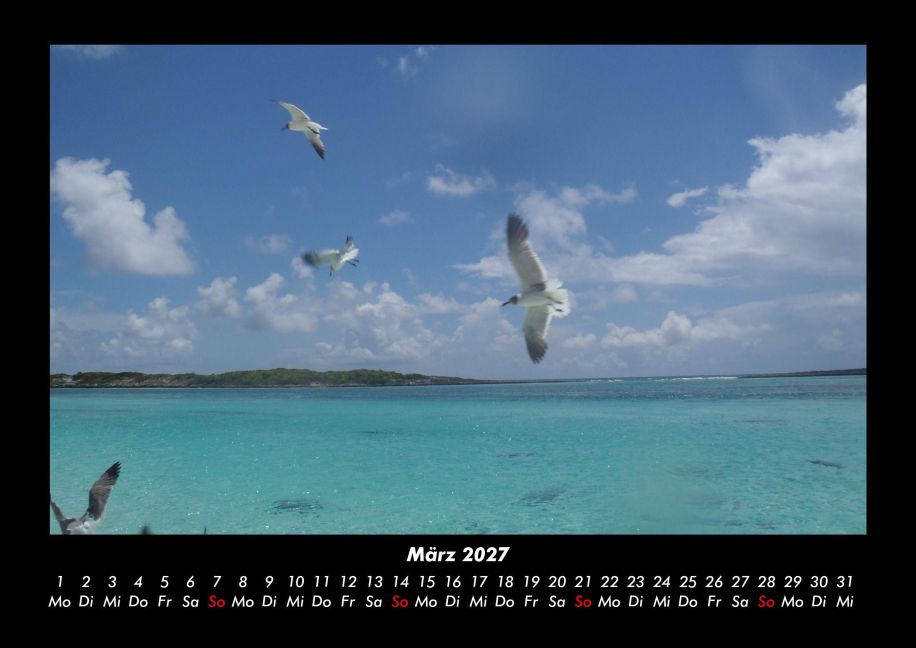 InsideView 7