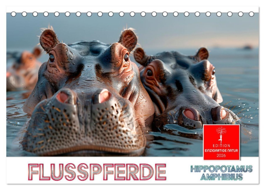 Flusspferde - Hippopotamus amphibius (Tischkalender 2026 DIN A5 quer), CALVENDO Monatskalender - Peter Roder