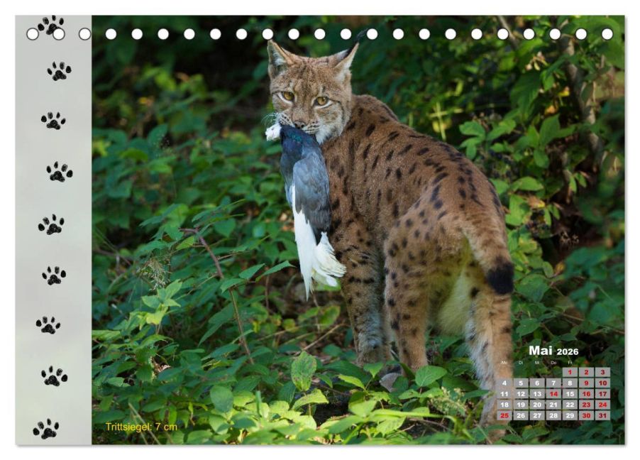 InsideView 10