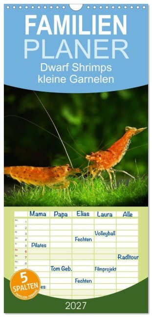 Familienplaner 2027 - Dwarf Shrimps - kleine Garnelen mit 5 Spalten (Wandkalender, 21 x 45 cm) CALVENDO - Rudolf Pohlmann