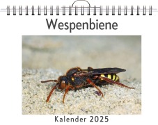 Cover-Bild zum Titel 'Wespenbiene' von 'Sofia Zimmermann'
