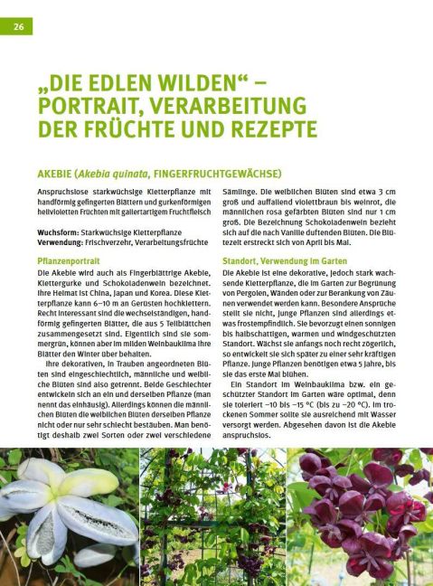 InsideView 4