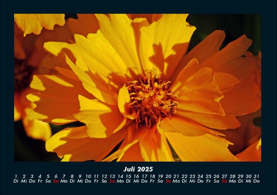 InsideView 11
