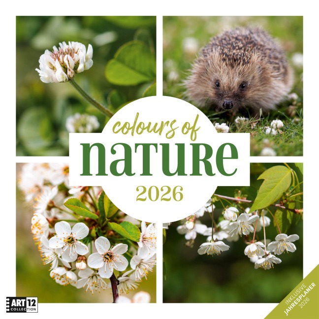 Colours of Nature Broschürenkalender 2026 - 30x30 - Art12 - 
