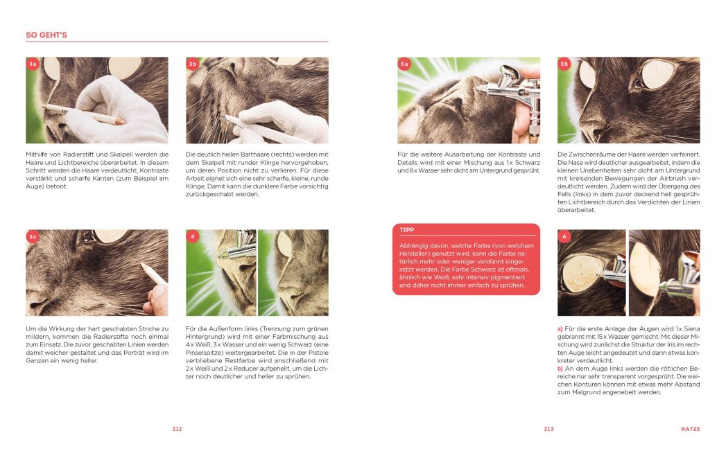 InsideView 12