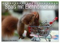 Spaß mit Eichhörnchen! (Tischkalender 2024 DIN A5 quer), CALVENDO Monatskalender - Heike Adam