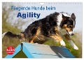 Fliegende Hunde beim Agility (Wandkalender 2024 DIN A4 quer), CALVENDO Monatskalender - Verena Scholze